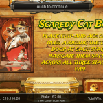 12 Scaredy Cat Bonus Splash Screen