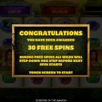 4 Free Spins Bonus Splash Screen